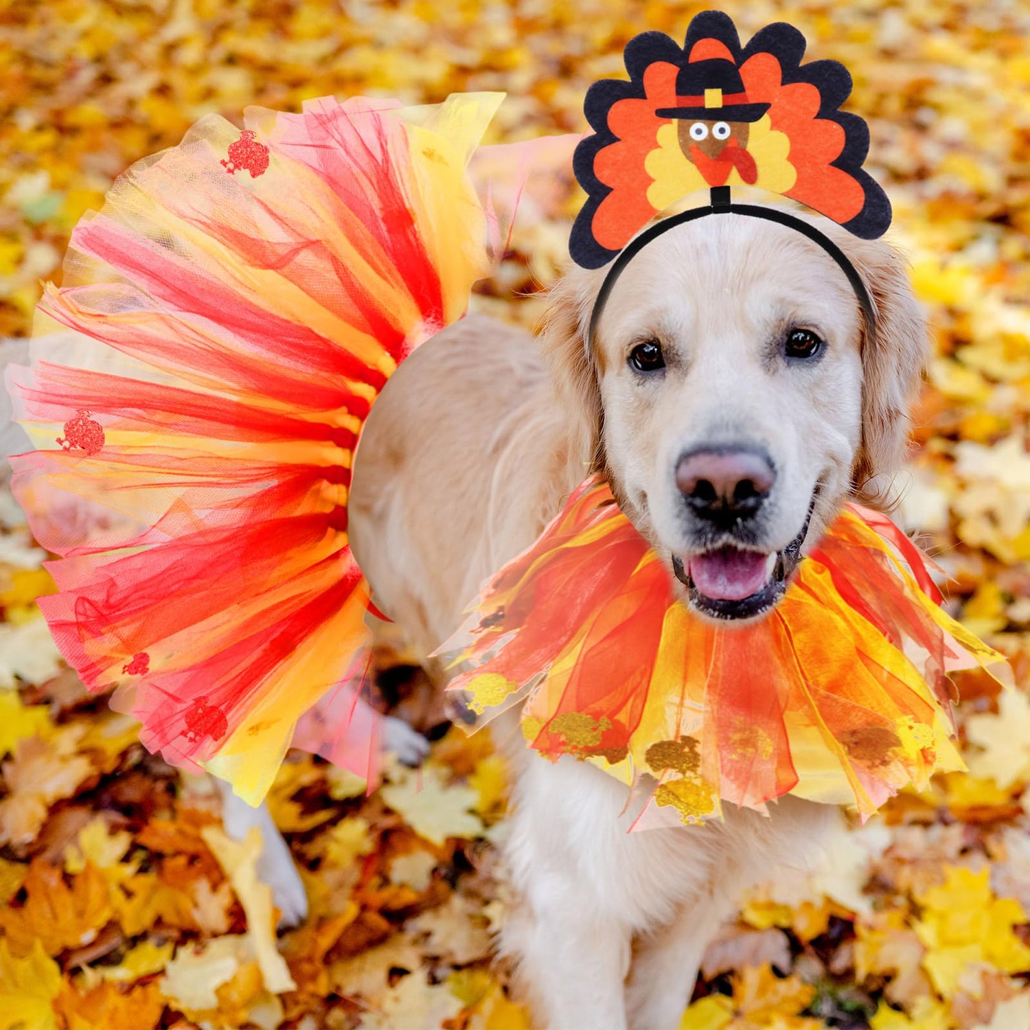 Dog Thanksgiving Costumes