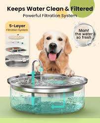 DOG WATER SYSTEM