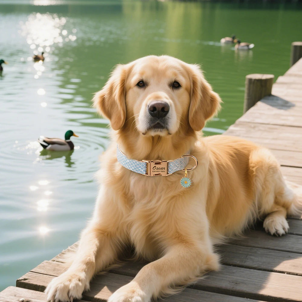 Bling Nylon Custom Dog Collar Cute Flower Tag Dog Collars Engraving Pet Name ID Buckle Necklace For Small Large Dogs Chihuahua