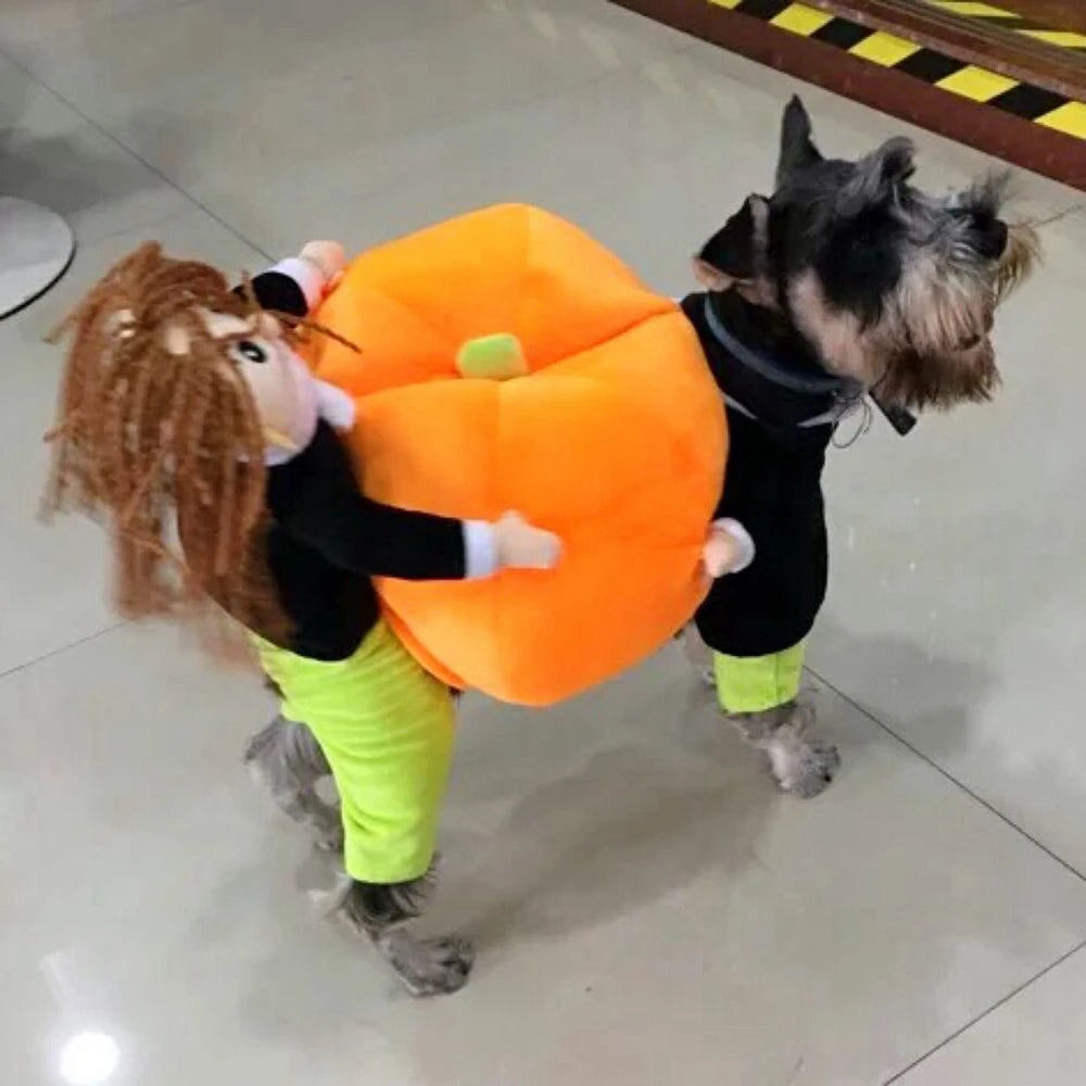 Funny Pet Cosplay Costume Small Medium Dog Leotard Coat Halloween Christmas Clothing Cat Pumpkin Transfiguring Dog Cute