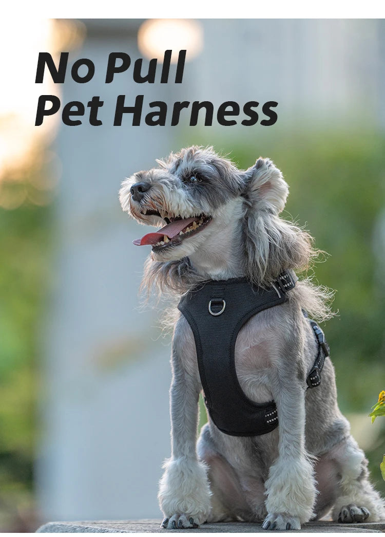 SMALL COMBINATION Dog Harness No Pull Reflective Pet Dog Chest Harness Adjustable for Small Medium Large Dogs Outdoor Walking