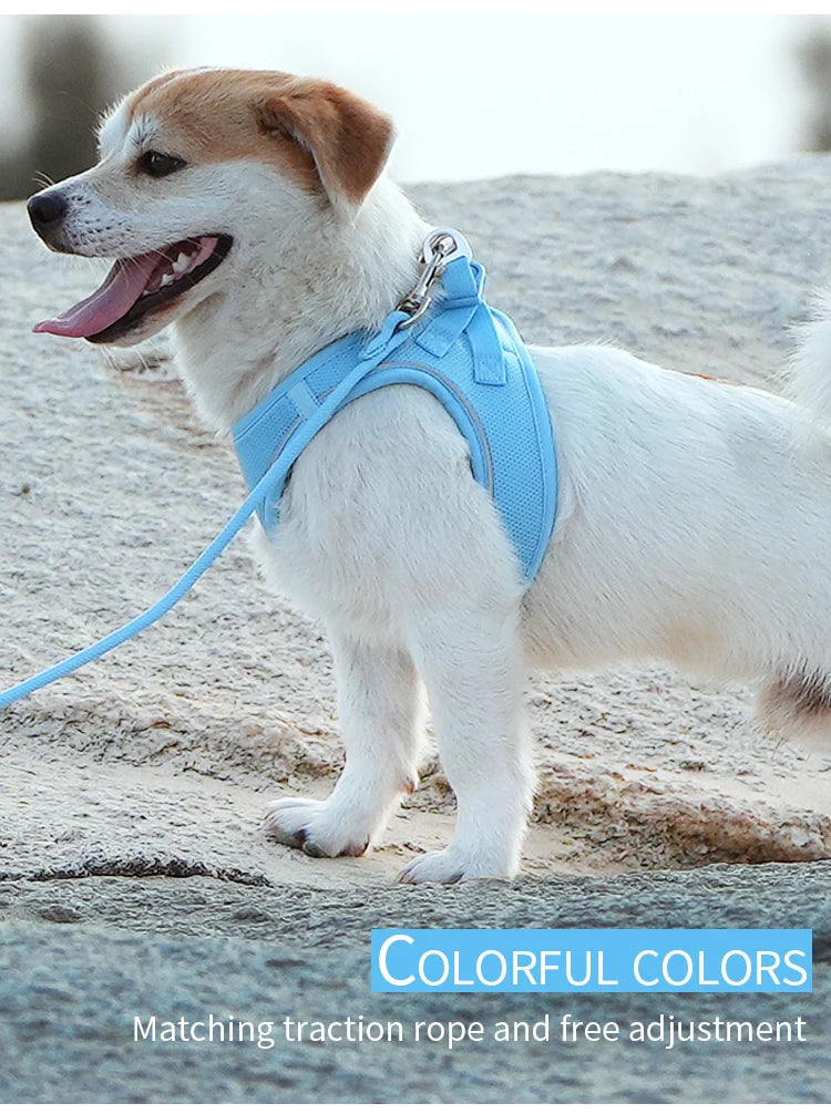 Dog Harness Leash Set for Small Dog Adjustable Reflective Puppy Cat Harness pet Vest Chihuahua Dachshund Outdoor Walking